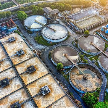 Polyurethane wheels for Clarifier system
