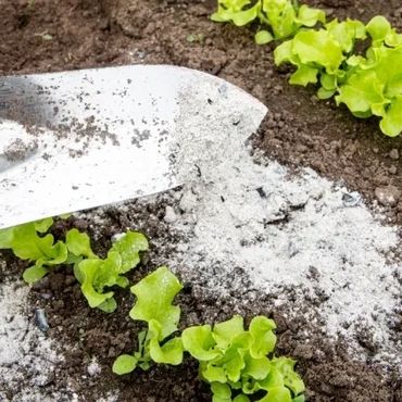 MEZCLAS FERTILIZANTES AGRICOLAS