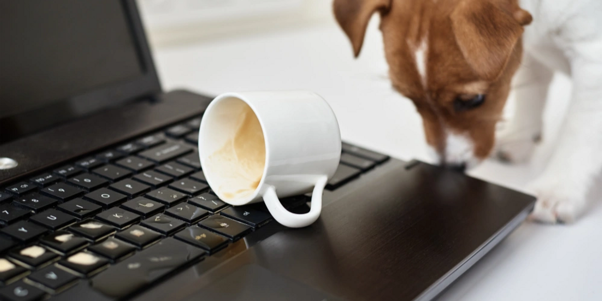 Coffee cup spilled on computer keyboard