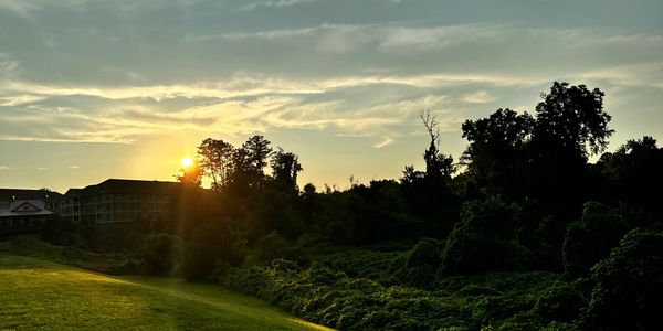 Real image of the Complex Field