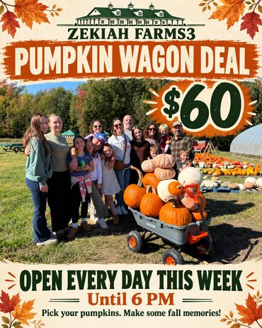 🎃 PUMPKIN WAGON DEAL — $60! 🎃