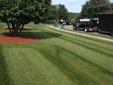 Delfino Landscaping Inc.