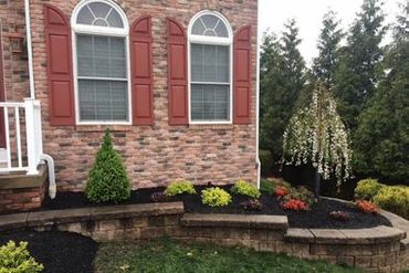 Delfino Landscaping Inc.