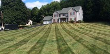 Delfino Landscaping Inc.