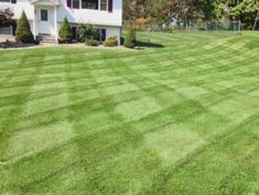 Delfino Landscaping Inc.