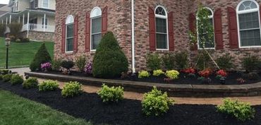 Delfino Landscaping Inc.