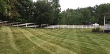 Delfino Landscaping Inc.