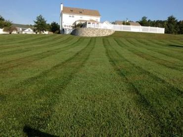 Delfino Landscaping Inc.