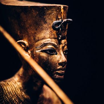 Still from Tutankhamun exhibition - a previous Showcoach trip