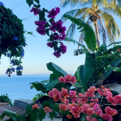 Utah Yoga & Wellness Mexico Couples & Womens Retreats