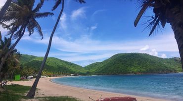 Long sandy beach with soft green hills in the background, a few palm trees on both sides of shoot.