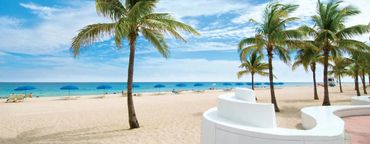 Palm trees and blue umbrellas line a sunny beach with white sand.