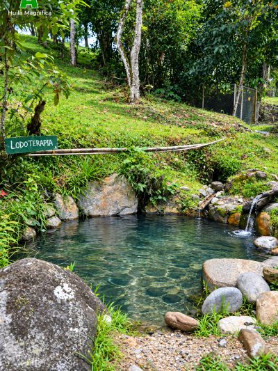 Natural pool labeled for mud therapy in a lush green area.