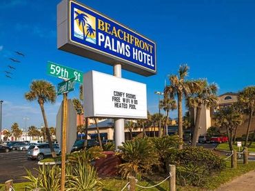 Beach Front Palm