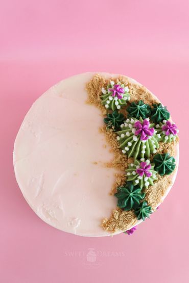 Southwest Sunset Cake with Buttercream Succulents