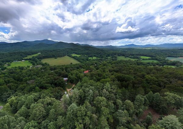 Aerial view of lush green forest valley