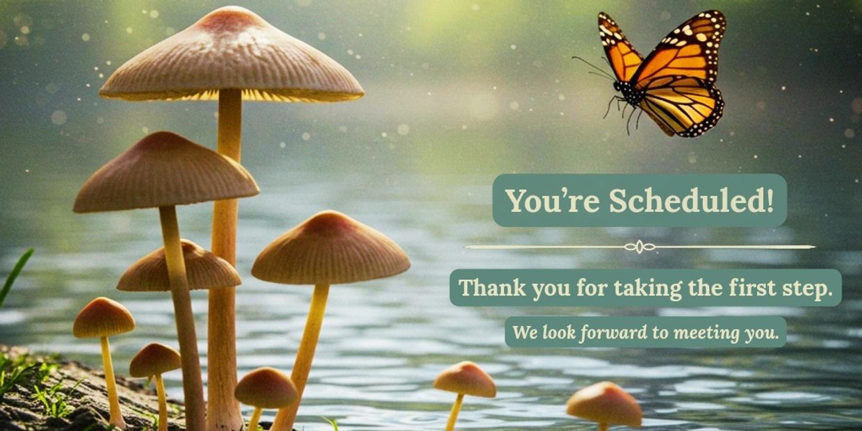 Mushrooms with butterfly and scheduling message.