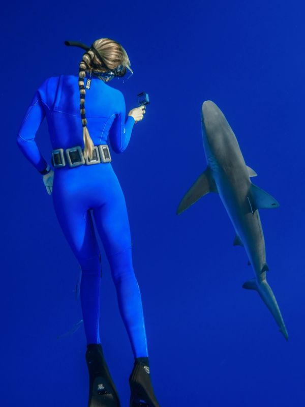 Shark diver Ocean Ramsey during  a shark dive with a Galapagos shark leading a dive charter at  one