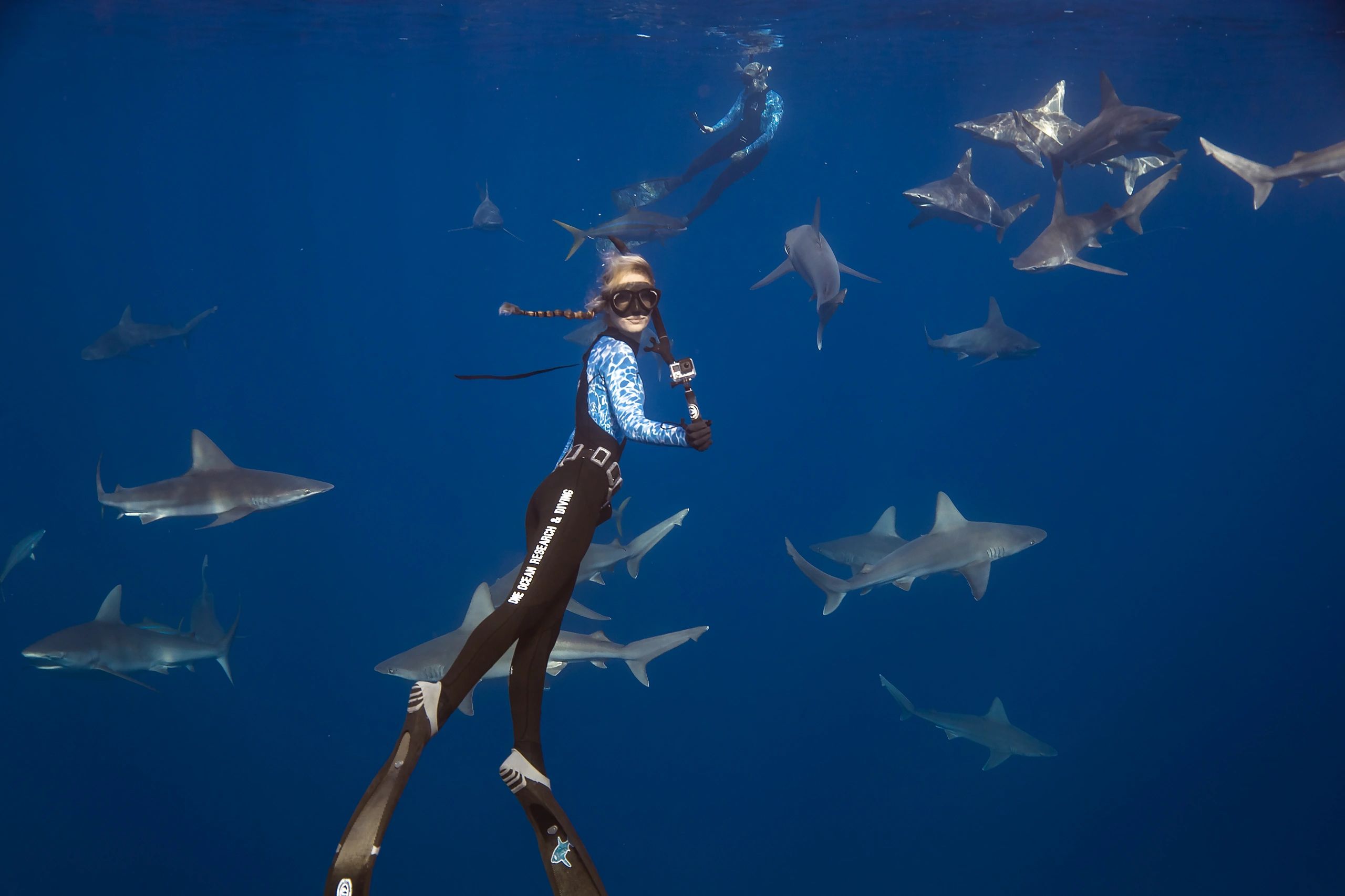 Ocean Ramsey teaching shark behavior and training shark safety divers during a shark dive 