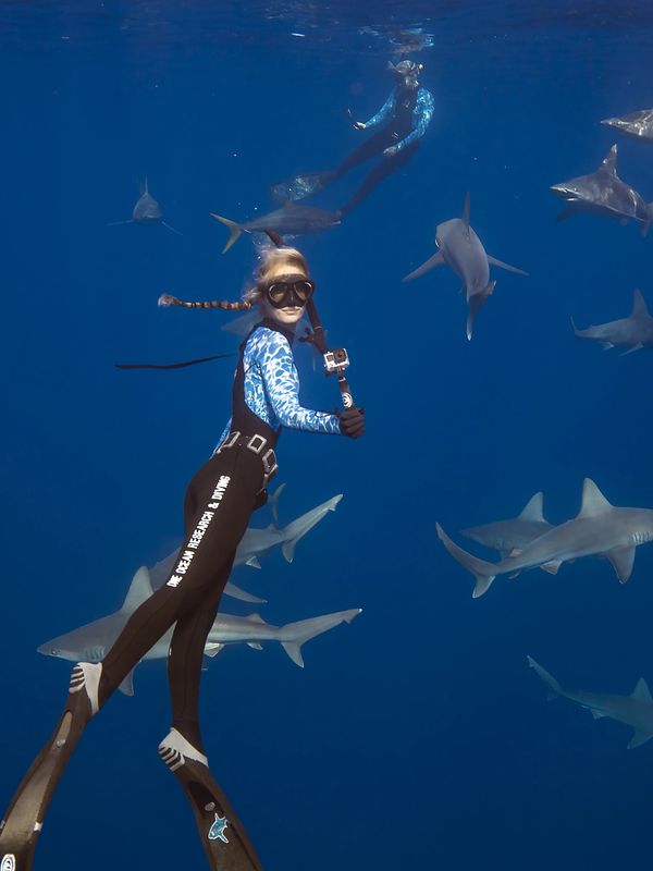 Ocean Ramsey filming sharks on a shark tour in Oahu, HI