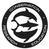 shark dive logo