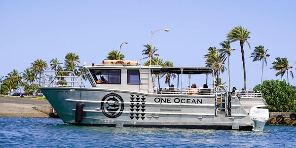 Shark diving boat "Mano Kai" is a 33ft catamaran out of Haleiwa. Special built for shark diving with