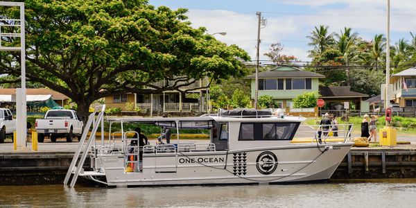 shark diving boat aluminum 33ft catamaran 2022 build in Haleiwa Oahu