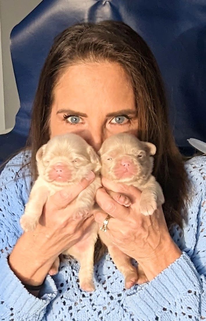 Woman holding two newborn puppies close to her face, showing affection.