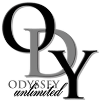 Odyssey unlimited Security