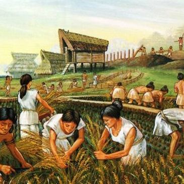 sedentary agriculture