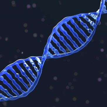 DNA