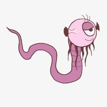 single cell organism