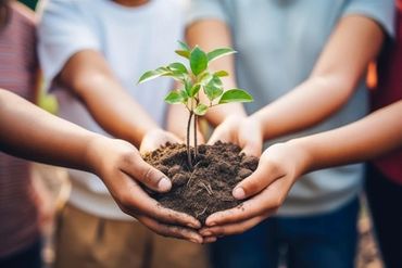Hands holding soil with a small plant growing, symbolizing care and growth.