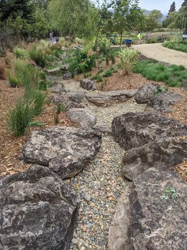 Dry creek bed with Sonoma Fieldstone boulders and Montana Pebbles in a natural landscape design.
