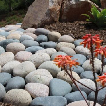 Smooth stones in a garden bed with orange flowers.