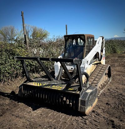 Mastication, bobcat work, blackberry cutting