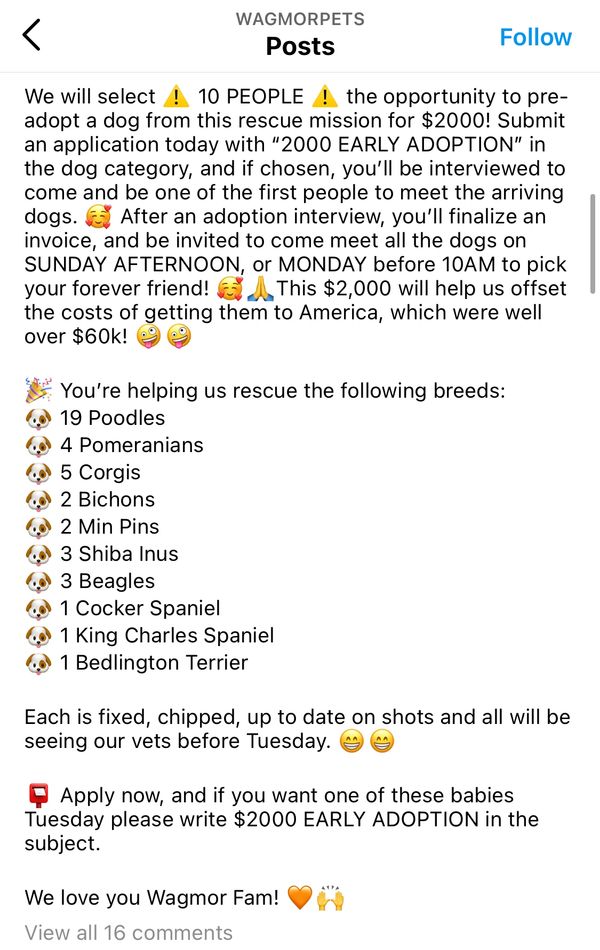 Wagmor Pets Adoption Fees of $2000, hight then state law allows.