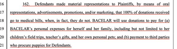 Melissa Bacelar using non profit funds for personal use.