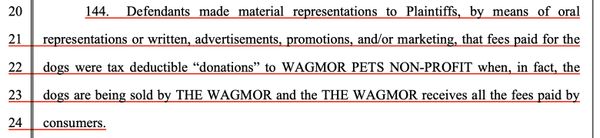 Melissa Bacelar using non profit funds for personal use.