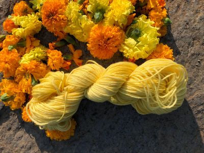 Yarn,yellow on marigolds