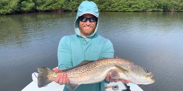 Big speckled sea trout caught on fly in Vero Beach Florida