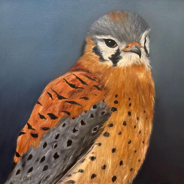 bird on grey background