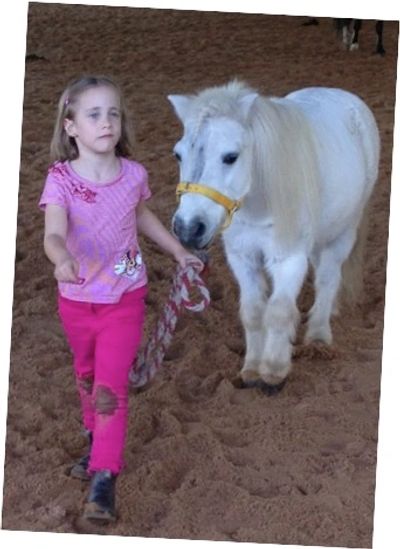 child mental health treatment is more engaging with horses