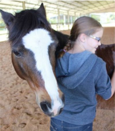 horse hug