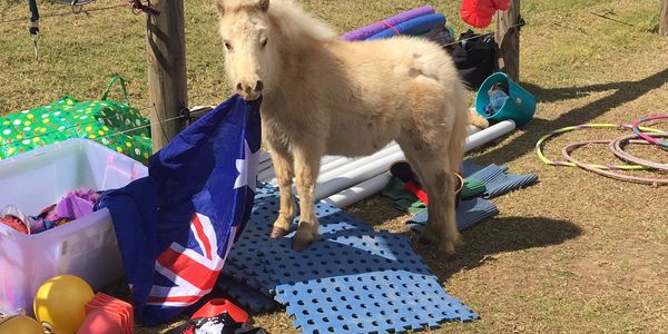 little pony raising the Australian flag