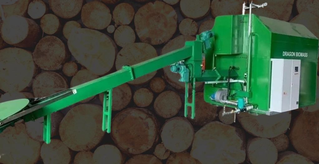 Large auto-fed biomass heating systems