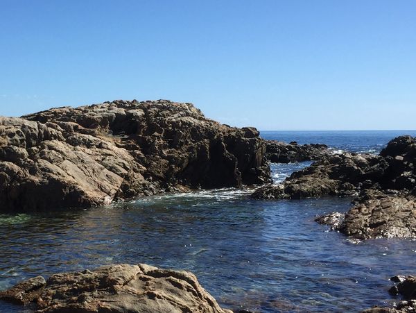 Rock pools for swimming and exploring