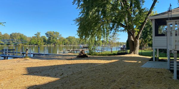 Lawn renovation with sod and seed