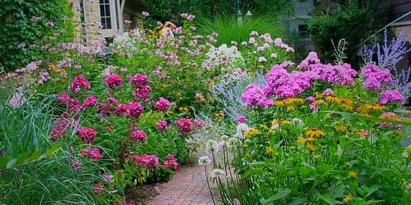 Flower bed around path