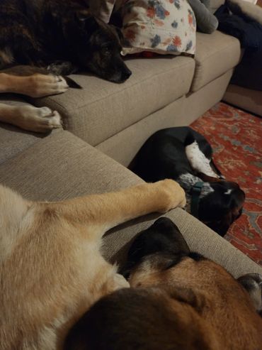 Nap time